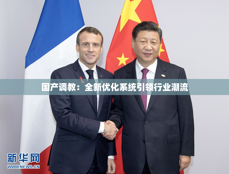 国产调教：全新优化系统引领行业潮流