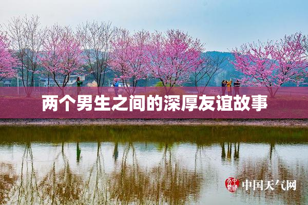 两个男生之间的深厚友谊故事