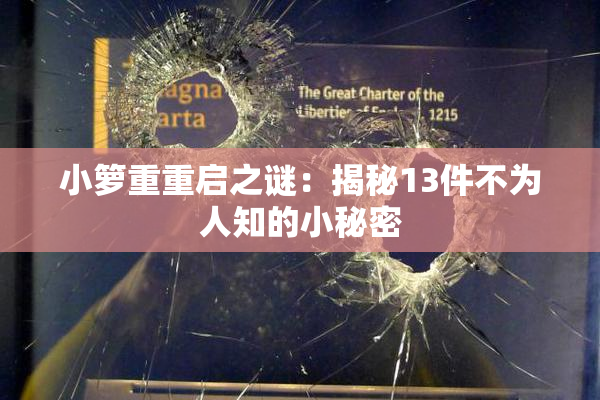 小箩重重启之谜：揭秘13件不为人知的小秘密