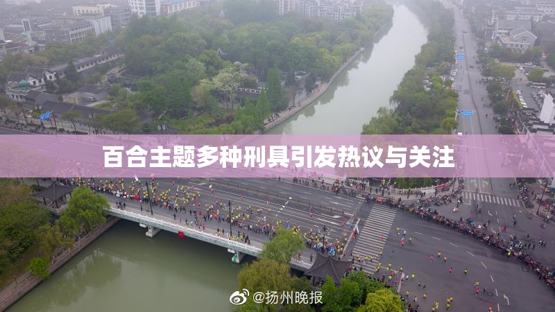 百合主题多种刑具引发热议与关注