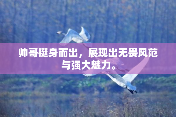 帅哥挺身而出，展现出无畏风范与强大魅力。