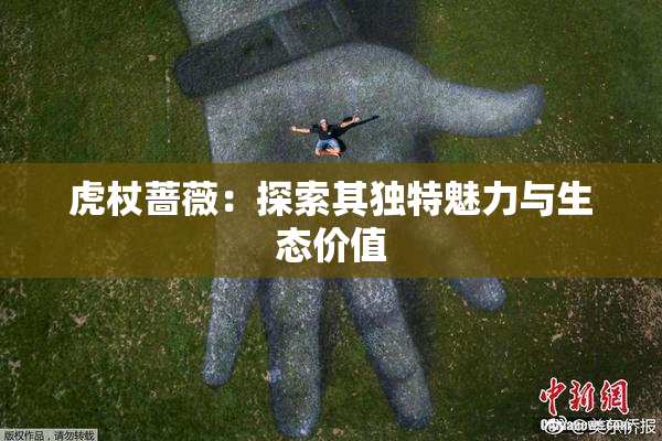 虎杖蔷薇：探索其独特魅力与生态价值