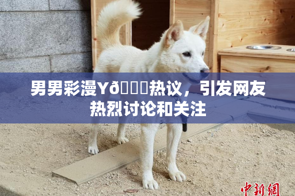 男男彩漫Y🈚热议，引发网友热烈讨论和关注