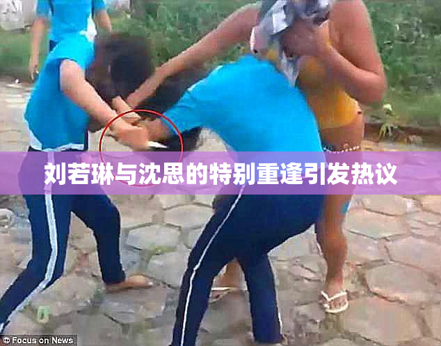 刘若琳与沈思的特别重逢引发热议
