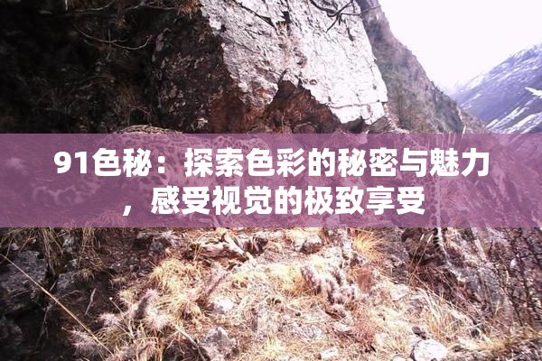 91色秘：探索色彩的秘密与魅力，感受视觉的极致享受