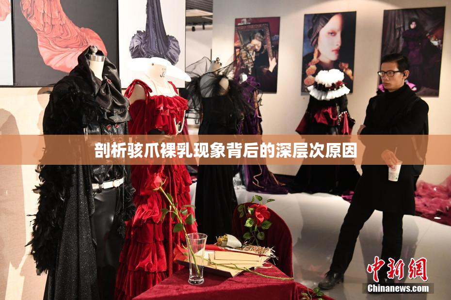 剖析骇爪裸乳现象背后的深层次原因