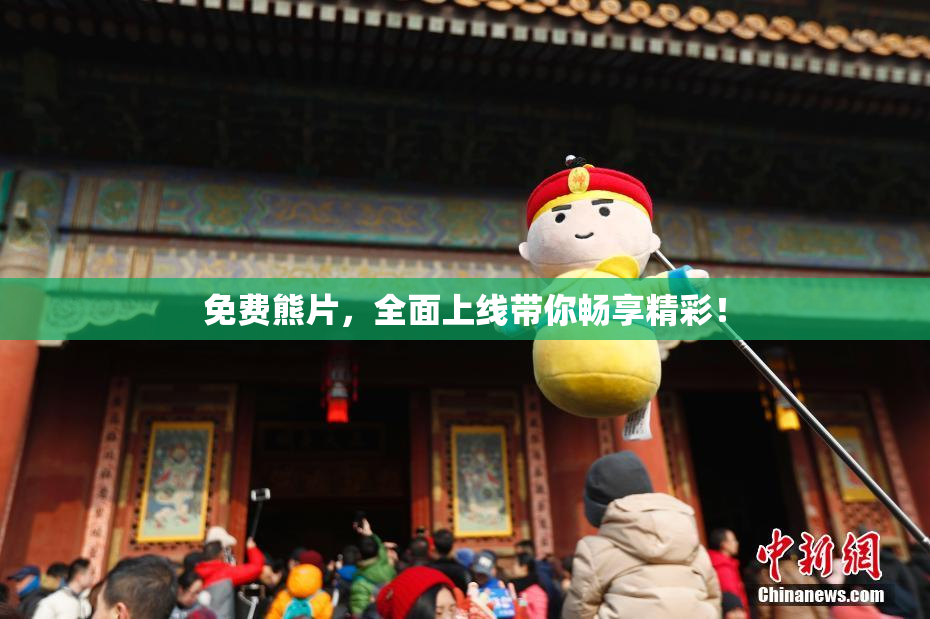 免费熊片，全面上线带你畅享精彩！