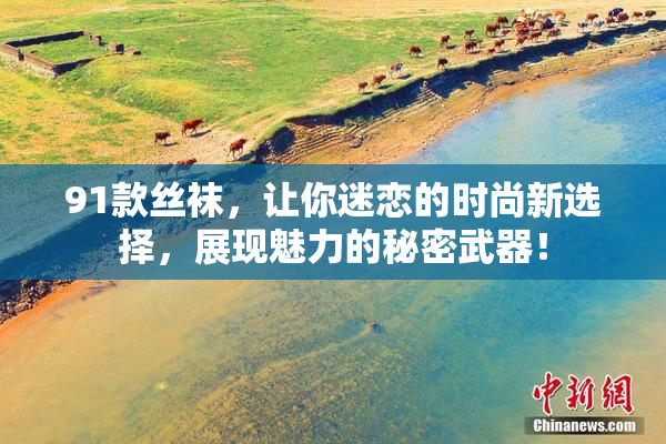 91款丝袜，让你迷恋的时尚新选择，展现魅力的秘密武器！