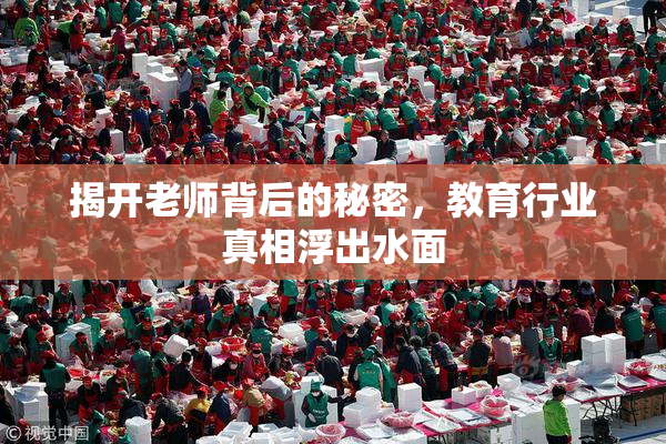 揭开老师背后的秘密，教育行业真相浮出水面