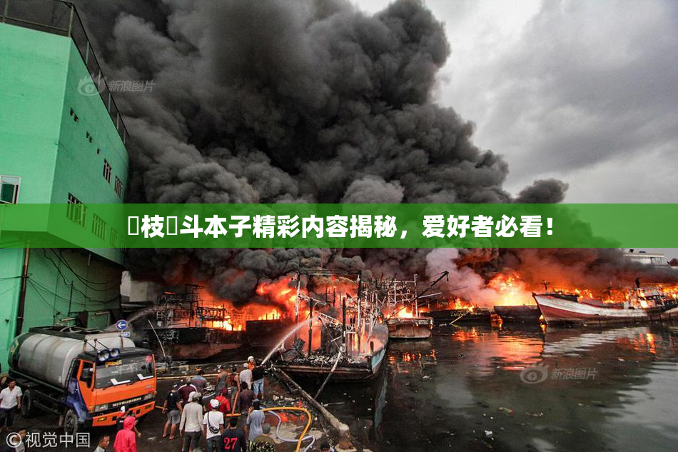 狛枝凪斗本子精彩内容揭秘，爱好者必看！