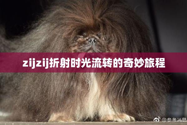 zijzij折射时光流转的奇妙旅程