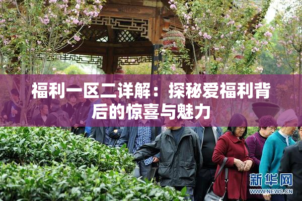 福利一区二详解：探秘爱福利背后的惊喜与魅力