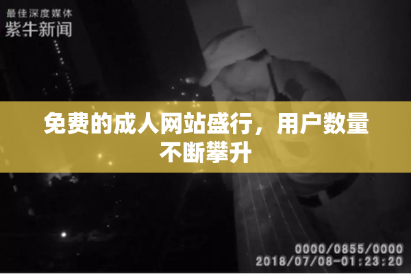 免费的成人网站盛行，用户数量不断攀升