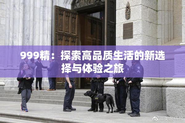 999精：探索高品质生活的新选择与体验之旅