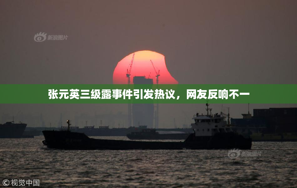 张元英三级露事件引发热议，网友反响不一