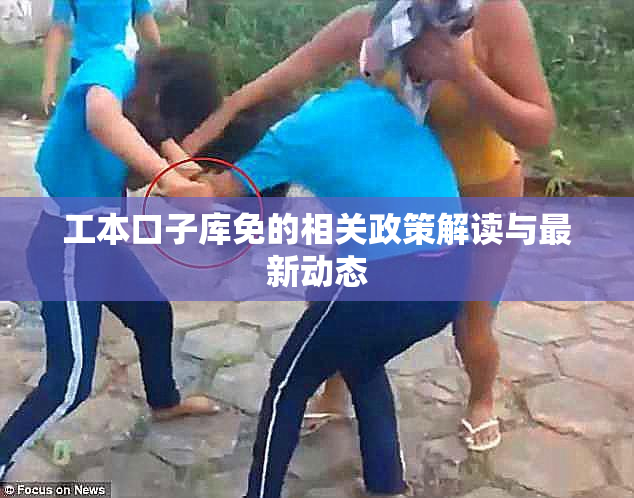 工本口子库免的相关政策解读与最新动态