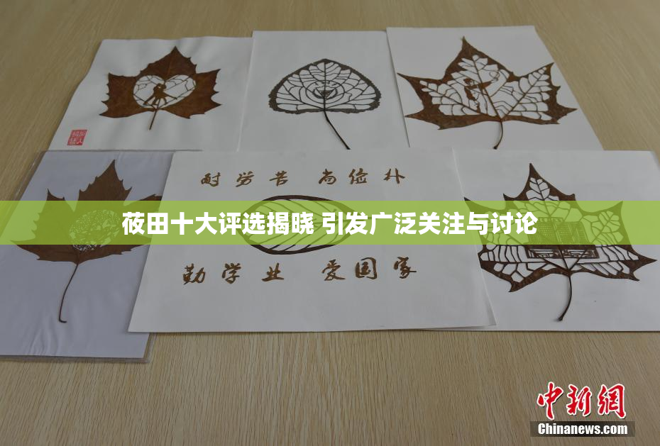 莜田十大评选揭晓 引发广泛关注与讨论