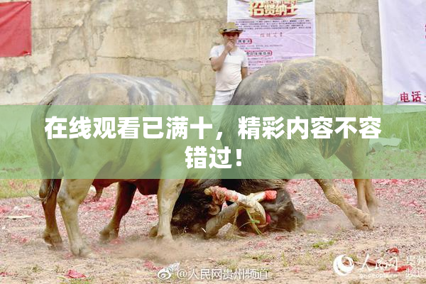 在线观看已满十，精彩内容不容错过！