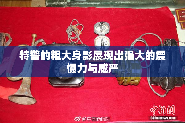 特警的粗大身影展现出强大的震慑力与威严