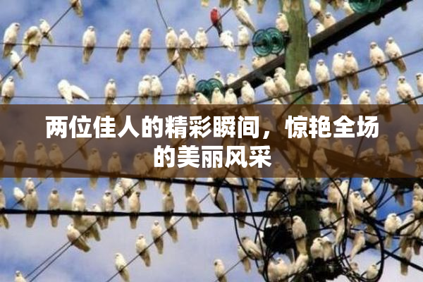两位佳人的精彩瞬间，惊艳全场的美丽风采