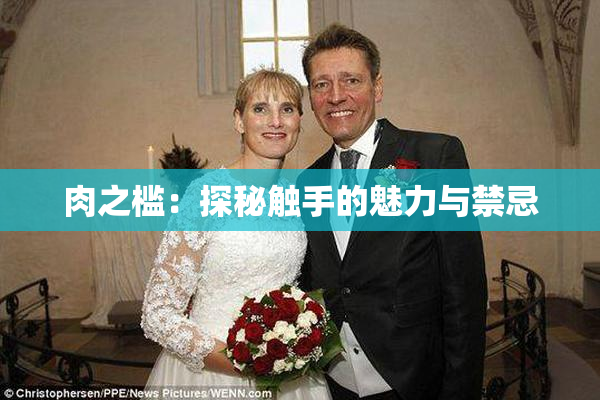肉之槛：探秘触手的魅力与禁忌
