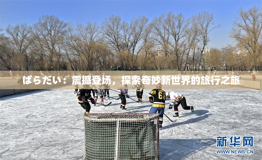 ぱらだい：震撼登场，探索奇妙新世界的旅行之旅