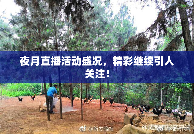 夜月直播活动盛况，精彩继续引人关注！