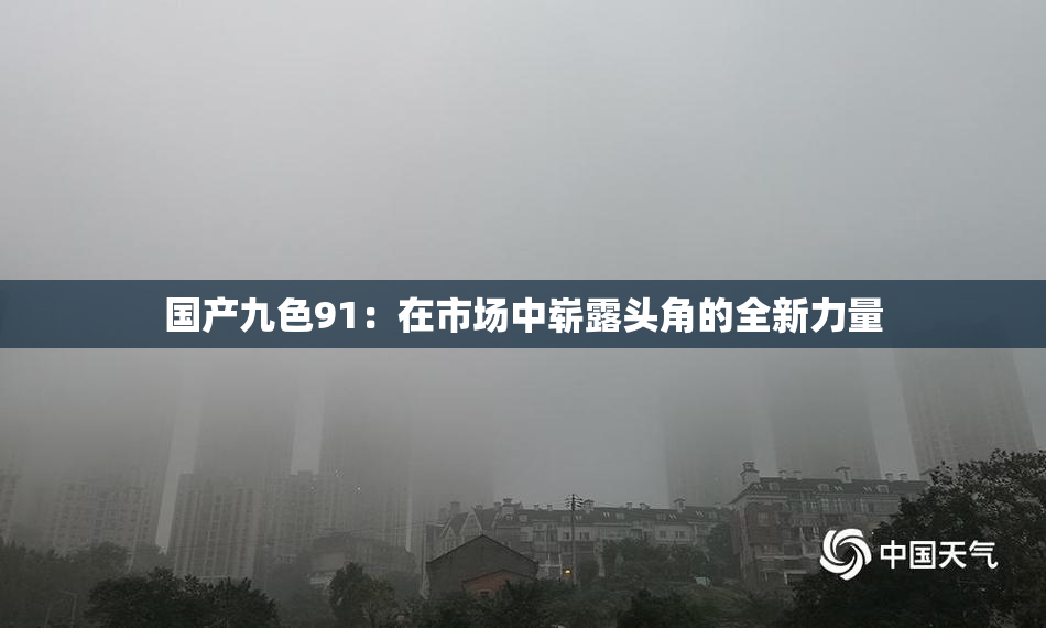 国产九色91：在市场中崭露头角的全新力量
