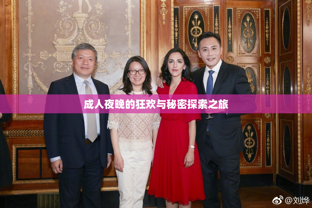 成人夜晚的狂欢与秘密探索之旅