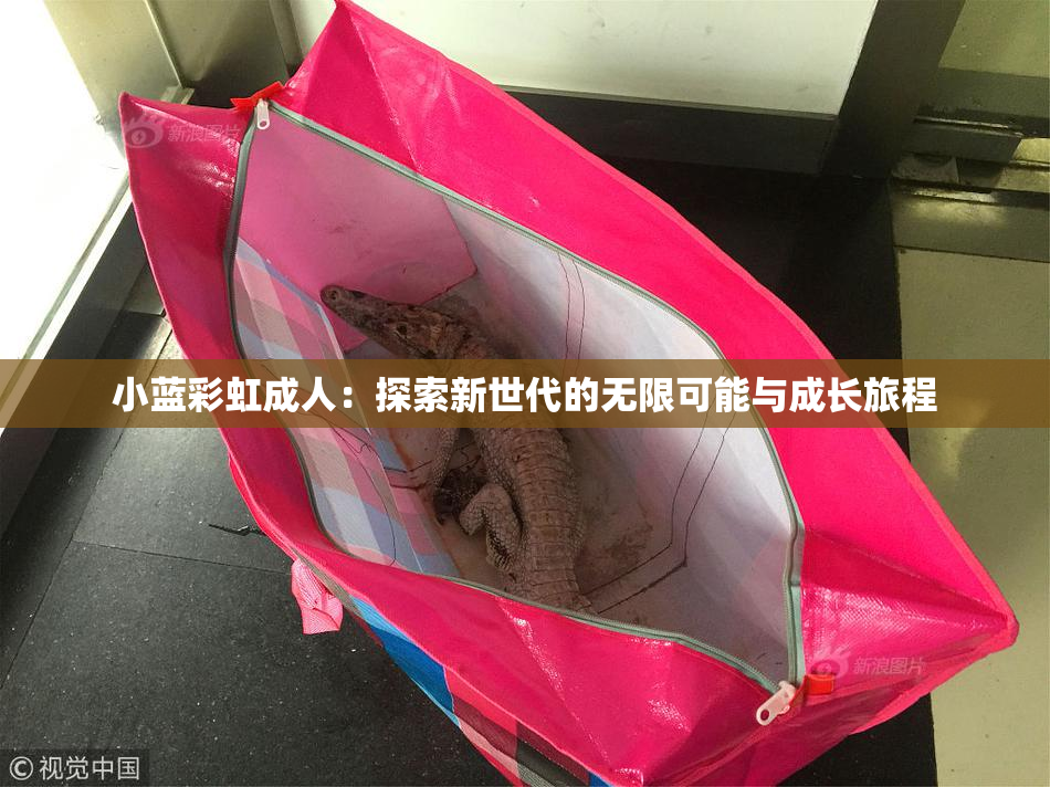 小蓝彩虹成人：探索新世代的无限可能与成长旅程