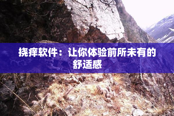 挠痒软件：让你体验前所未有的舒适感