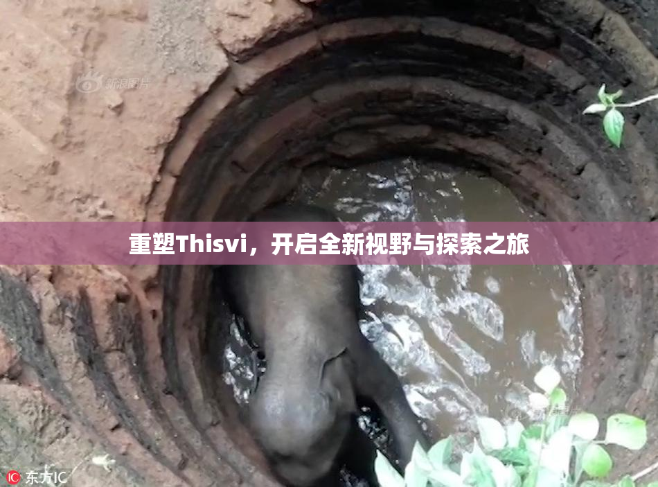 重塑Thisvi，开启全新视野与探索之旅