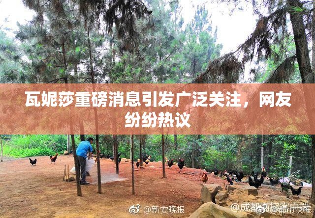 瓦妮莎重磅消息引发广泛关注，网友纷纷热议