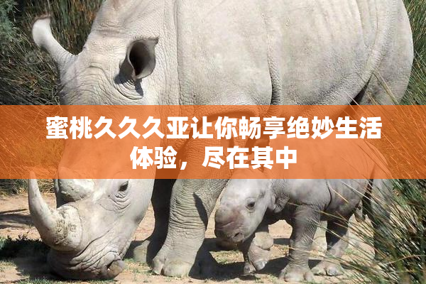蜜桃久久久亚让你畅享绝妙生活体验，尽在其中