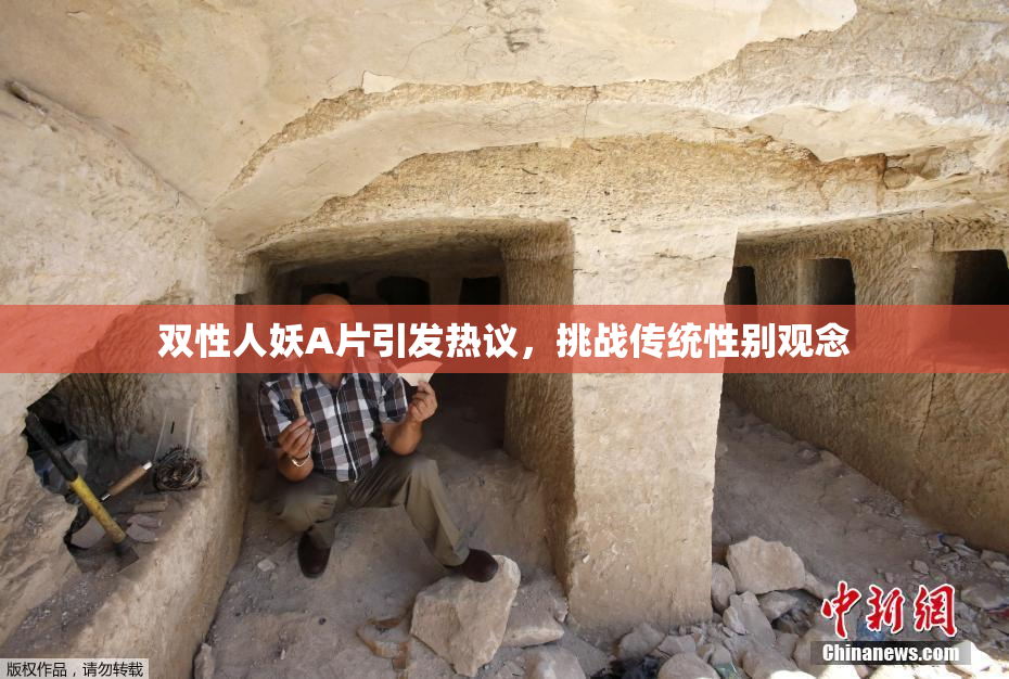 双性人妖A片引发热议，挑战传统性别观念