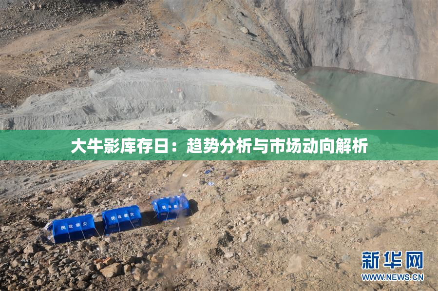 大牛影库存日：趋势分析与市场动向解析