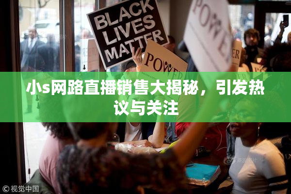 小s网路直播销售大揭秘，引发热议与关注