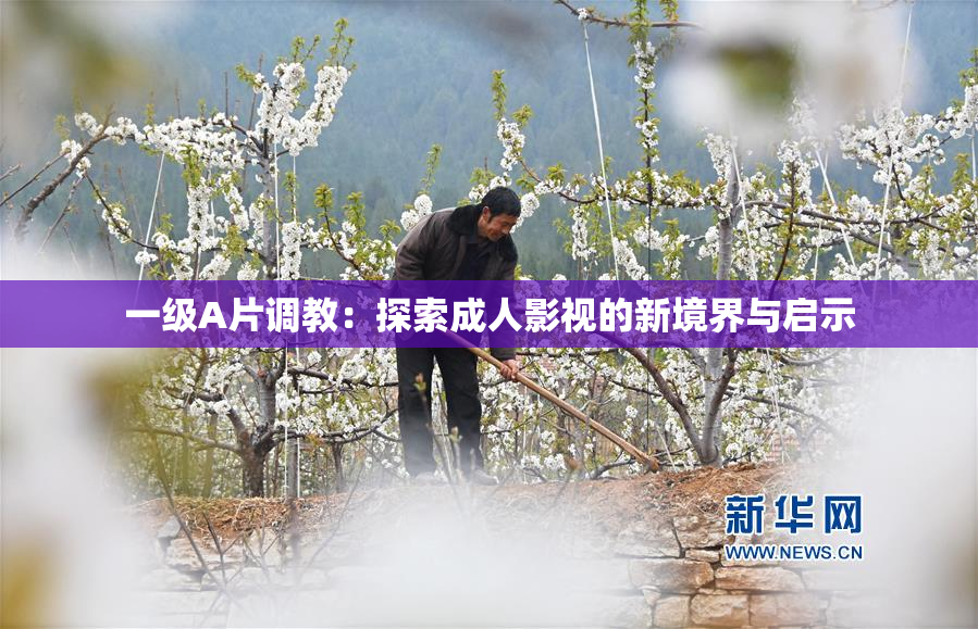 一级A片调教：探索成人影视的新境界与启示