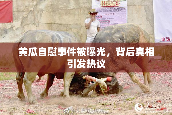 黄瓜自慰事件被曝光，背后真相引发热议