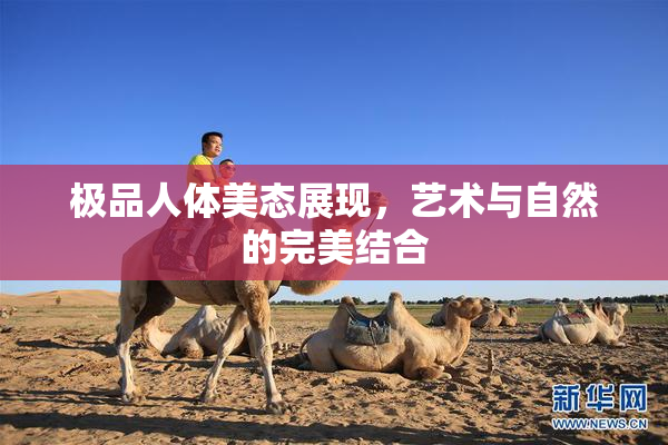 极品人体美态展现，艺术与自然的完美结合