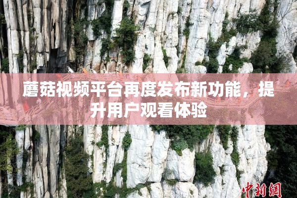 蘑菇视频平台再度发布新功能，提升用户观看体验