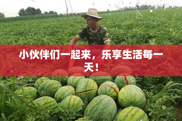 小伙伴们一起来，乐享生活每一天！