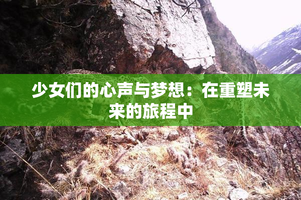 少女们的心声与梦想：在重塑未来的旅程中