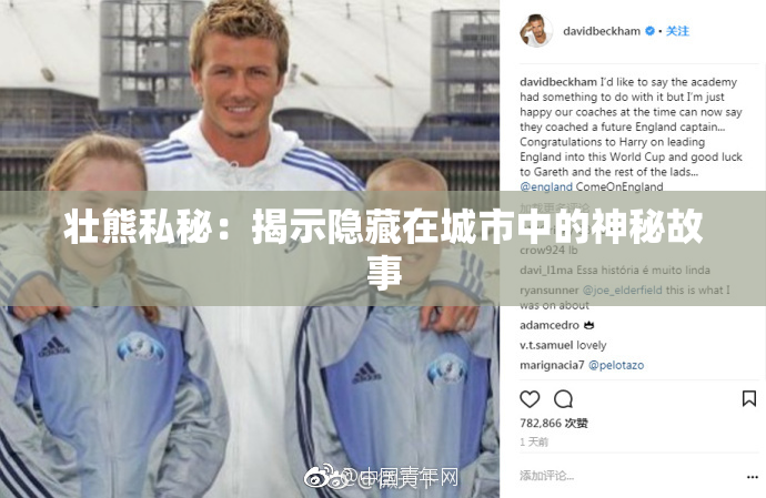 壮熊私秘：揭示隐藏在城市中的神秘故事