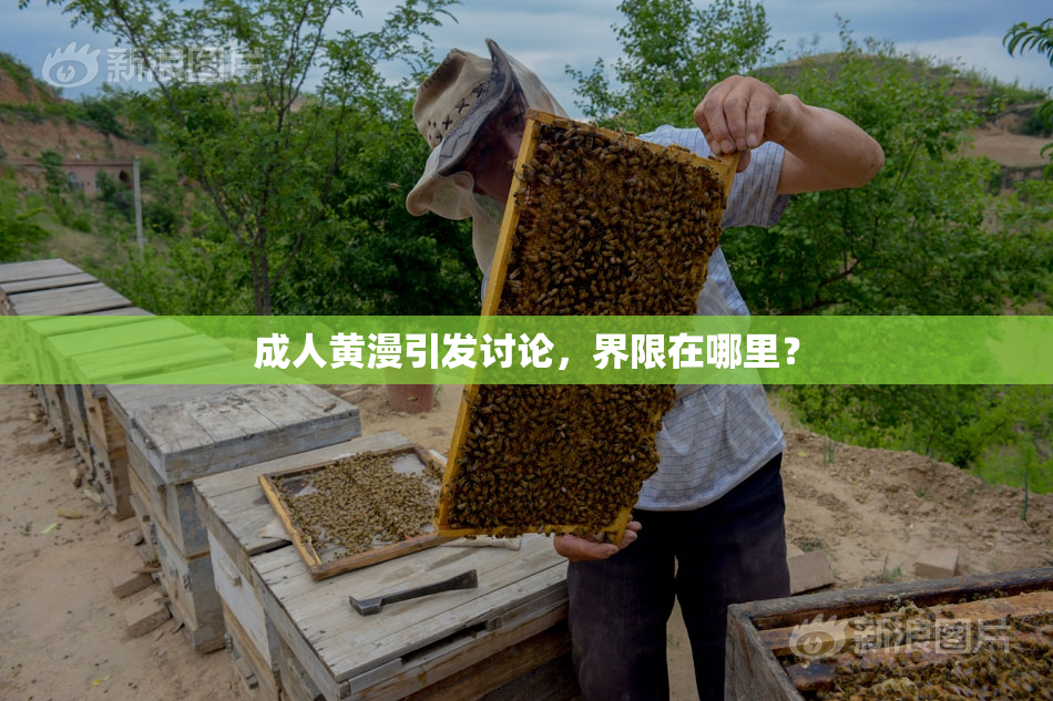 成人黄漫引发讨论，界限在哪里？