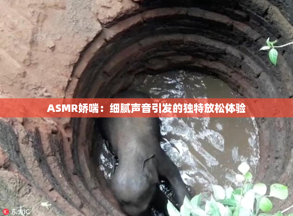ASMR娇喘：细腻声音引发的独特放松体验