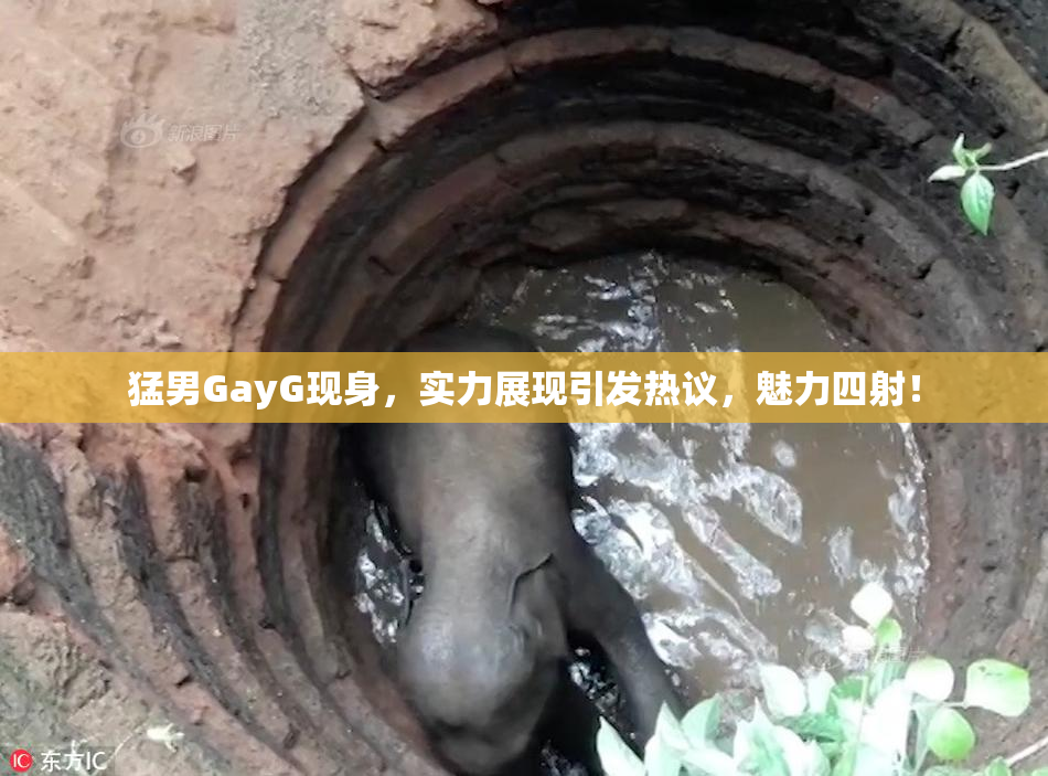 猛男GayG现身，实力展现引发热议，魅力四射！
