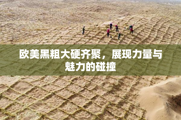 欧美黑粗大硬齐聚，展现力量与魅力的碰撞