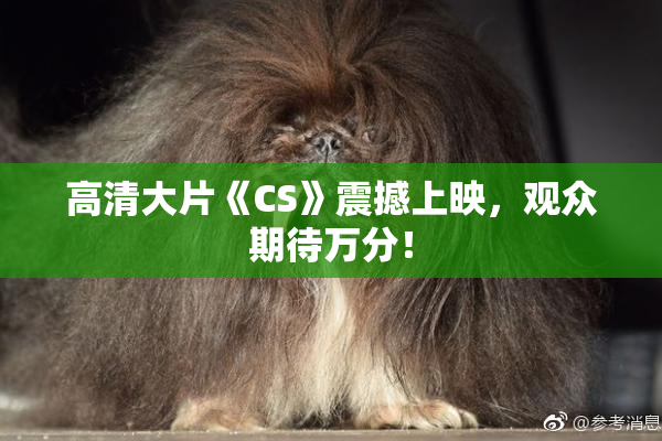 高清大片《CS》震撼上映，观众期待万分！