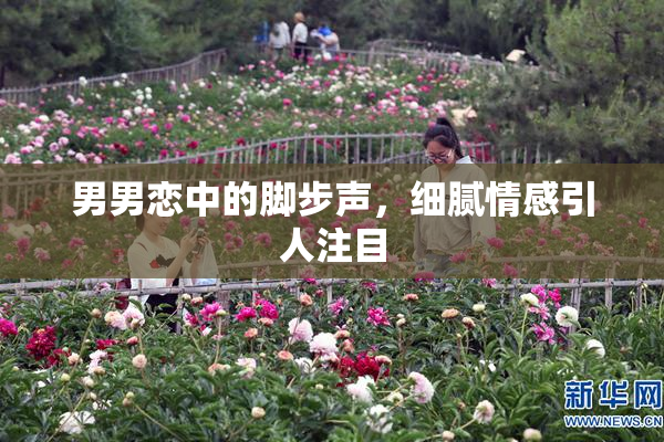 男男恋中的脚步声，细腻情感引人注目